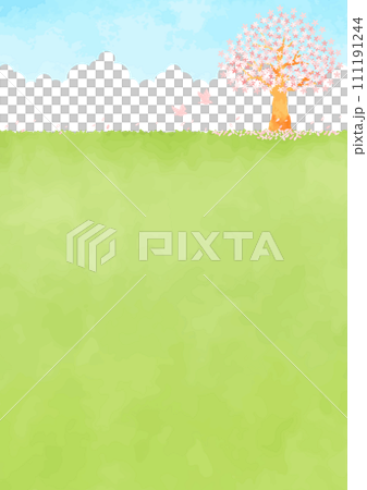 Landscape illustration of cherry blossoms blooming in the field and blue sky 111191244