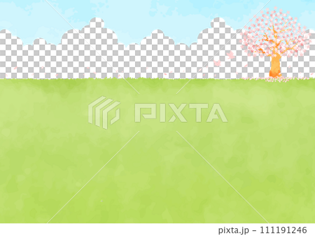 Landscape with fields and cherry trees 111191246