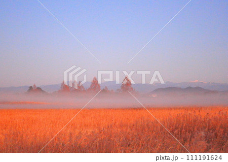 渡良瀬遊水地の朝/栃木県栃木市 渡良瀬遊水地の朝/栃木県栃木市 111191624