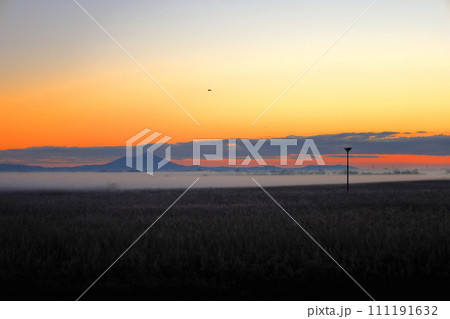 渡良瀬遊水地のコウノトリ人工巣塔と筑波山 111191632
