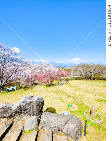 大草城址公園(春) 大草城址公園(春) 111191664