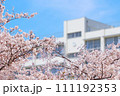 学校と桜 111192353