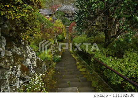 秋の秩父札所32番法性寺の鐘楼門から本堂への小菊咲く参道石段 秋の秩父札所32番法性寺の鐘楼門から本堂への小菊咲く参道石段 111192530