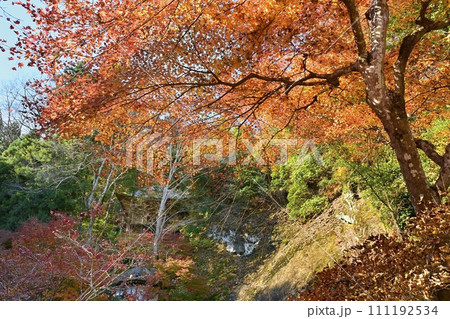 秋の秩父札所32番法性寺の本堂からの参道より見上げる観音堂 秋の秩父札所32番法性寺の本堂からの参道より見上げる観音堂 111192534