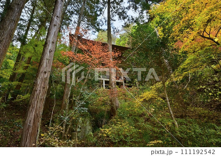 秋の秩父札所32番法性寺の本堂からの参道より見上げる観音堂 111192542