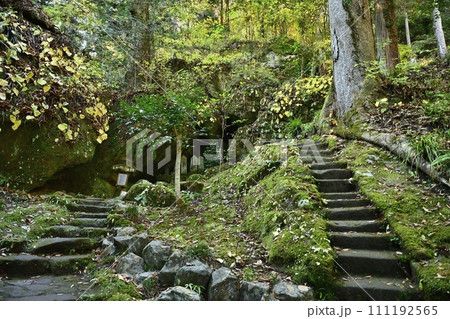 秋の秩父札所32番法性寺の本堂から観音堂への参道石段 秋の秩父札所32番法性寺の本堂から観音堂への参道石段 111192565