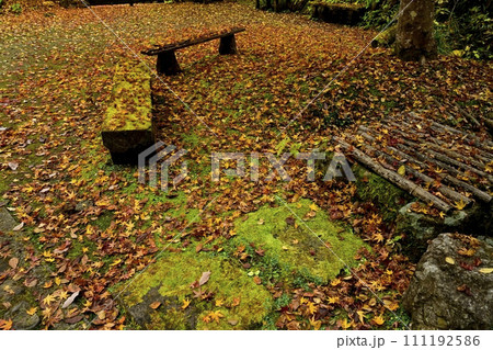 秋の秩父札所32番法性寺境内のイチョウの落ち葉にベンチ 111192586