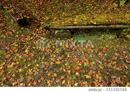 秋の秩父札所32番法性寺境内のイチョウの落ち葉にベンチ 111192588