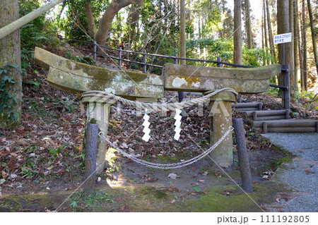 牛根麓埋没鳥居 牛根麓埋没鳥居 111192805