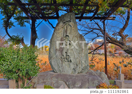Nov 30 2023 Tokyo Japan the benten do temple in ueno park Nov 30 2023 Tokyo Japan the benten do temple in ueno park 111192861