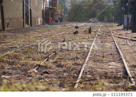 東高島駅 倉庫と線路跡のある構内 東高島駅 倉庫と線路跡のある構内 111193371