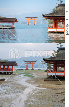 厳島神社の干潮と満潮　社殿と大鳥居 111193560