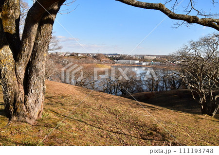 春採湖　丘から 111193748