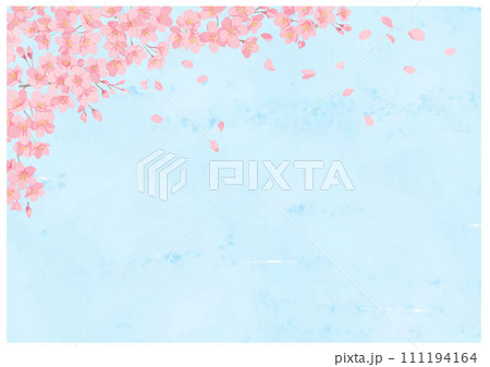 桜の花と舞う花びら　ブルーバック 111194164