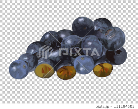 藍莓（切割面） 111194503