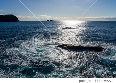 海岸風景・世界遺産「鬼ヶ城」(三重県・熊野市) 111194551