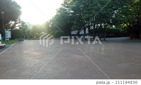 緑の多い公園の歩道 111194830