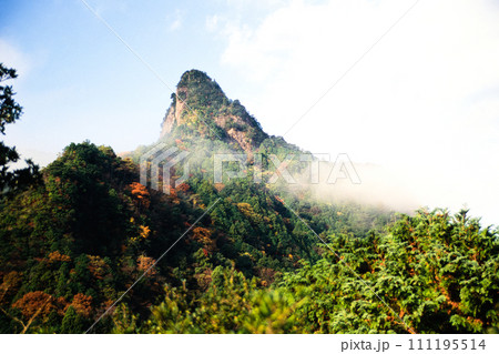 嶽の森山を望む　【和歌山県古座川町】 111195514