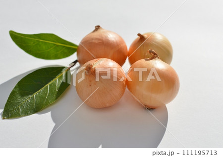 白バックにぺコロスとローリエ 白バックにぺコロスとローリエ 111195713