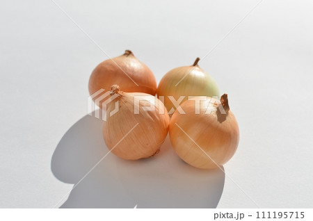 白バックにぺコロス　　 111195715