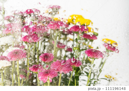 Springtime floral aesthetic. Natural colourful flowers background. Springtime floral aesthetic. Natural colourful flowers background. 111196148