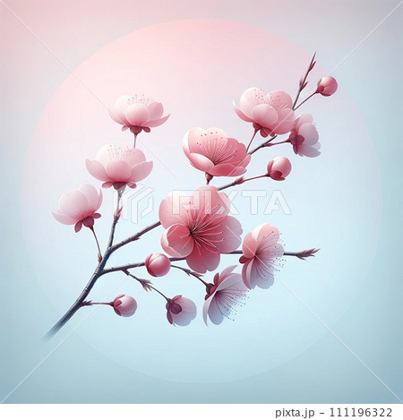 シンプルな桜 111196322