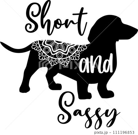 Short and Sassy Dachshund Dog, Animal, Pet, Vector Illustration File 111196853