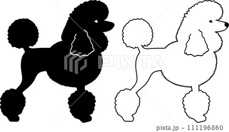 Poodle Outline, Dog, Animal, Pet, Vector Illustration File Poodle Outline, Dog, Animal, Pet, Vector Illustration File 111196860
