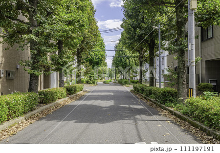 住宅街の道路 111197191