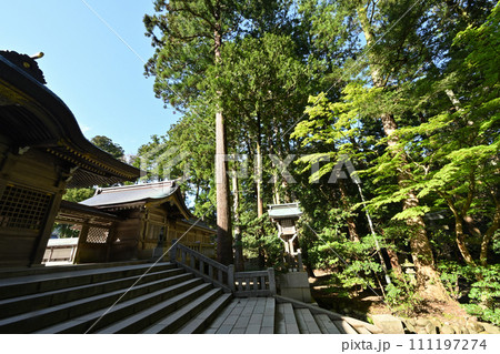 随神門付近の風景 随神門付近の風景 111197274