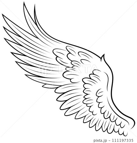 Angel wings 111197335