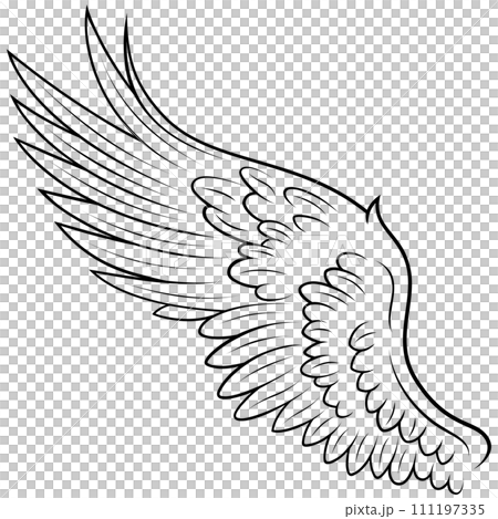 Angel wings 111197335