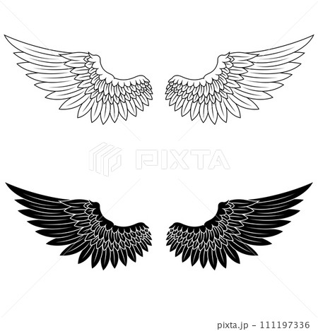 Angel wings 111197336