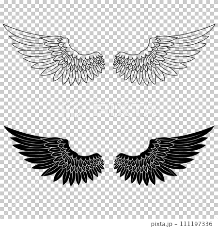 Angel wings 111197336