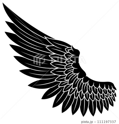 Angel wings Angel wings 111197337