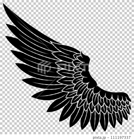 Angel wings Angel wings 111197337