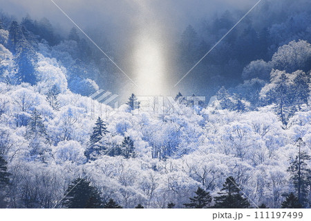 霧氷に覆われた木々 111197499
