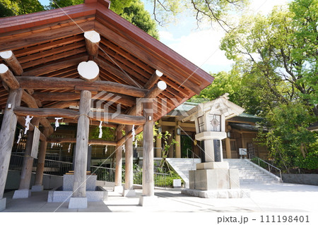 新緑に映える原宿の東郷神社 新緑に映える原宿の東郷神社 111198401