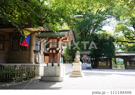 新緑に映える原宿の東郷神社 新緑に映える原宿の東郷神社 111198406