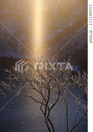 ダイヤモンドダスト舞う 111198453