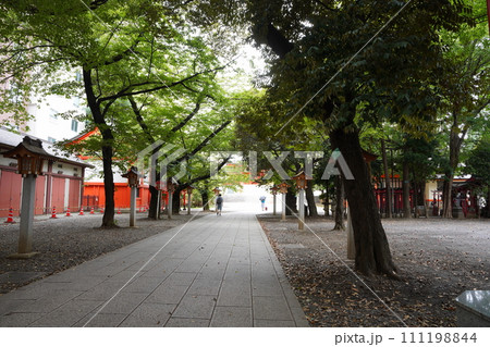新宿区の花園神社 111198844