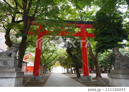 新宿区の花園神社 111198845