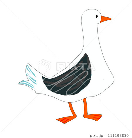 カモメ 111198850