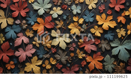 Autumnal plant leaves in different shapes and colors lined up next to each other 111199625