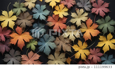 Autumnal plant leaves in different shapes and colors lined up next to each other 111199633