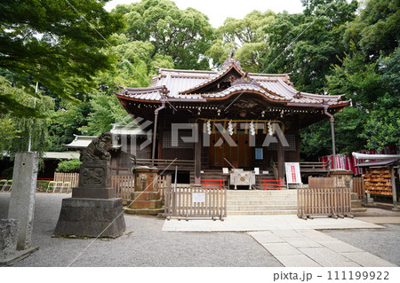 代々木八幡宮の本殿 111199922