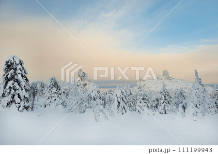 Winter forest, trees in the snow, ready background for layout. 111199943