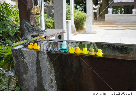 柏市に鎮座する柏諏訪神社の手水舎 111200512