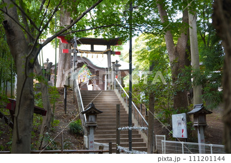 二宮神社の参道、石段 二宮神社の参道、石段 111201144