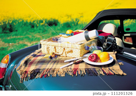 おしゃれな車でピクニック 111201326